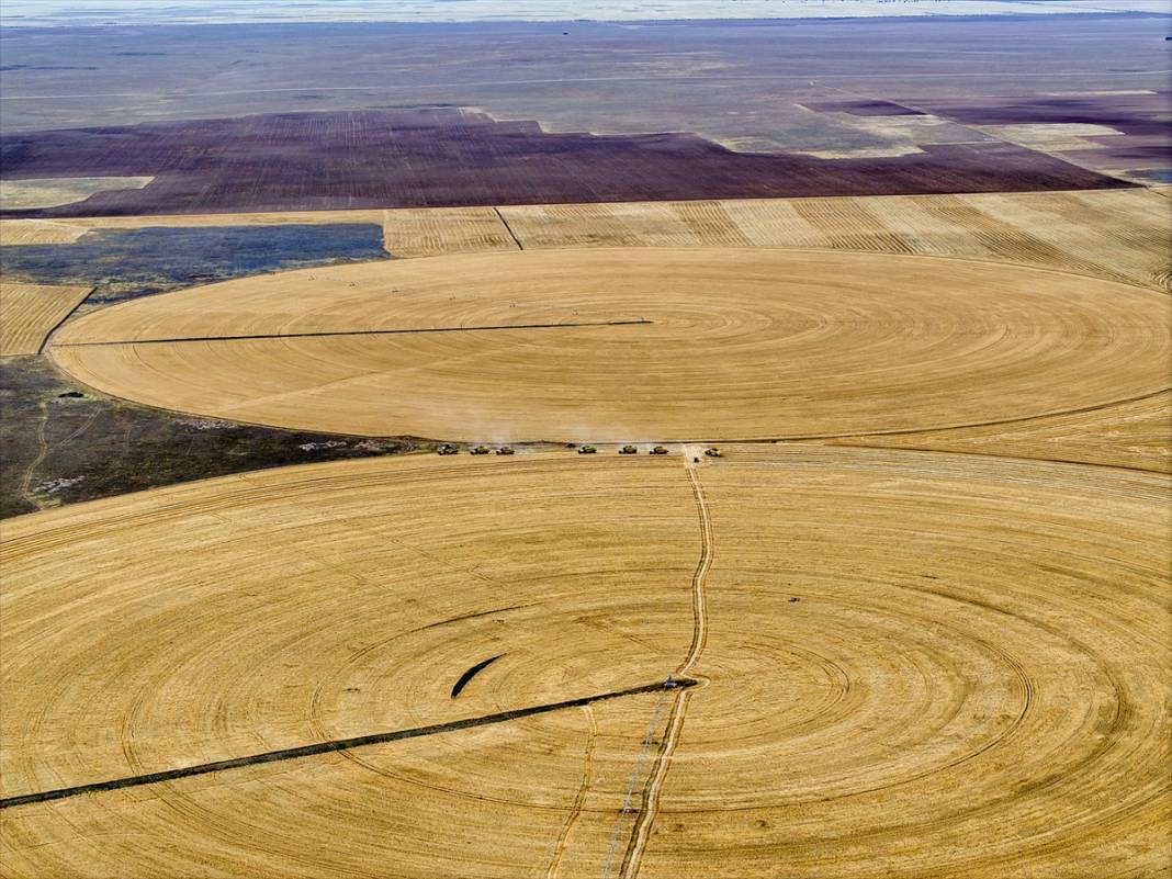 Konya’nın devasa tarlaları kuraklığa avantaj sağladı! Verim şaşırttı 2